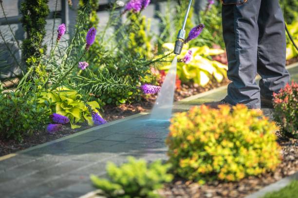 Best Pre-Holiday Cleaning  in Bluff City, TN